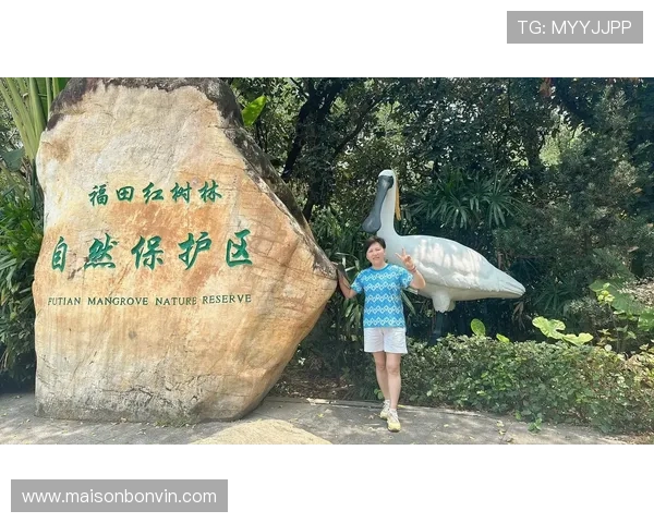 红树林娱乐：在自然保护区中体验丰富多彩的娱乐项目，感受绿色生态的独特魅力