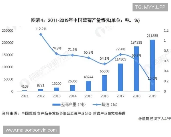 888电子娱乐的未来发展趋势与行业竞争格局深度剖析 888电子娱乐的未来发展趋势与行业竞争格局深度剖析